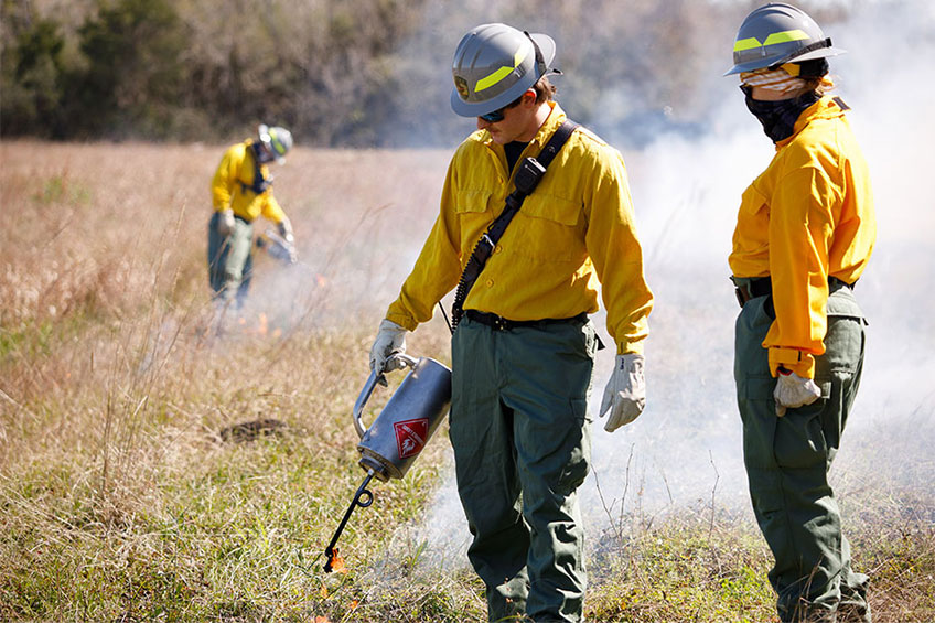 Controlled Burn Promotes Biodiversity at UH Coastal Center