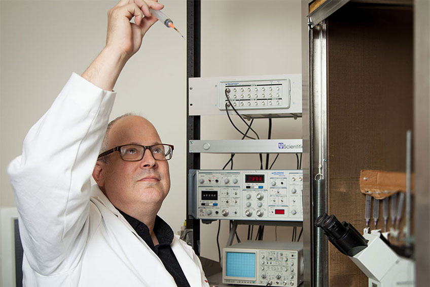 Examining Therapeutic Targets for Kidney Disease