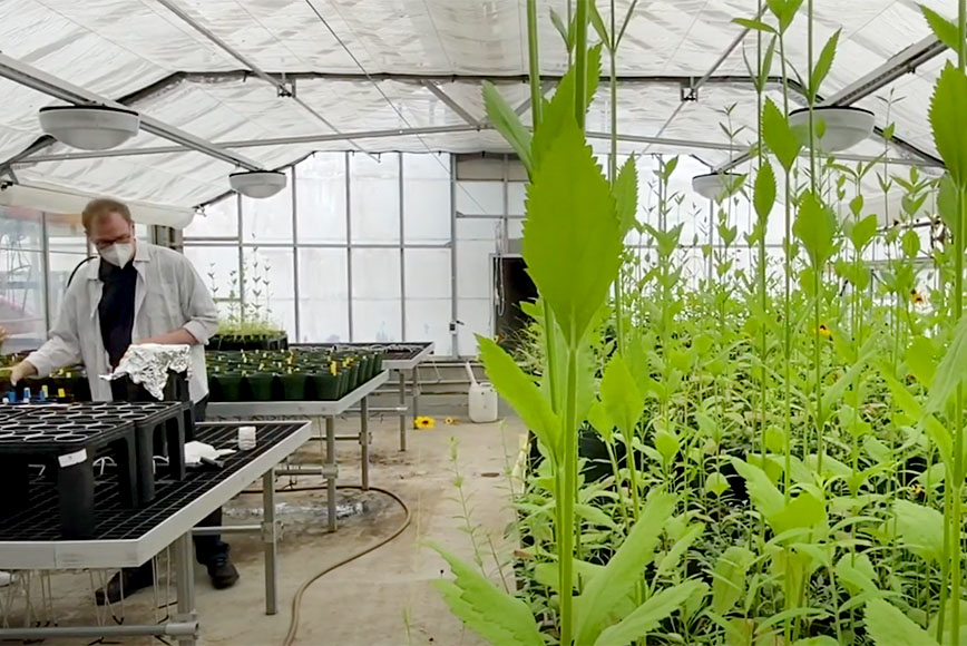 Inside NSM: Rooftop Greenhouse