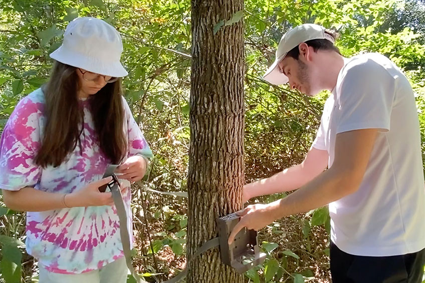 Hidden Life of Houston: Uncovering Urban Wildlife Activity