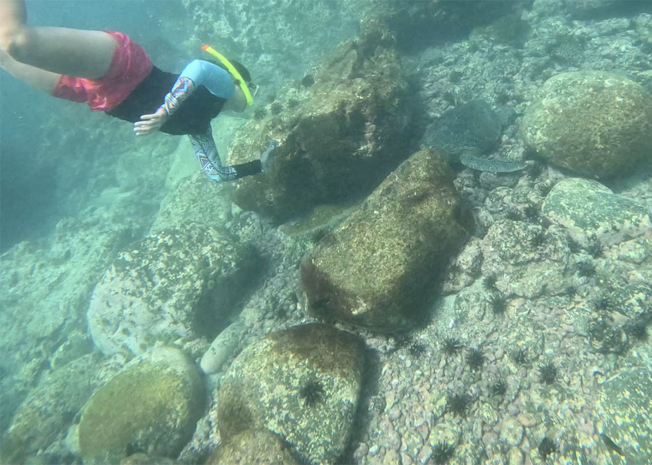 UH Students Snorkeling